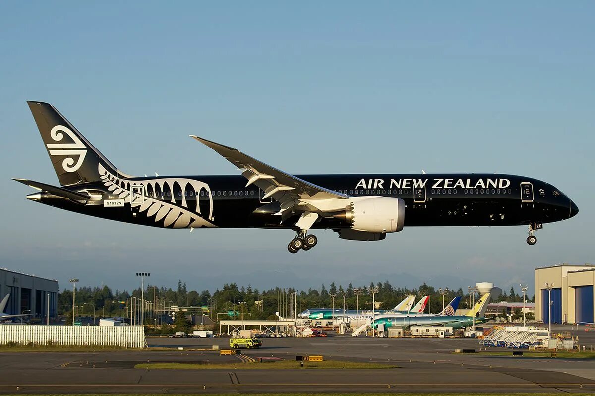 Air new zealand. Боинг 787-9 Дримлайнер. 787 Air New Zealand. Boeing 787-9 Air New Zealand. Самолёт Боинг 787 Air newzeland.