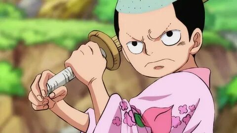 One piece momonosuke