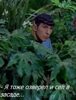 Чьи песни петь будем