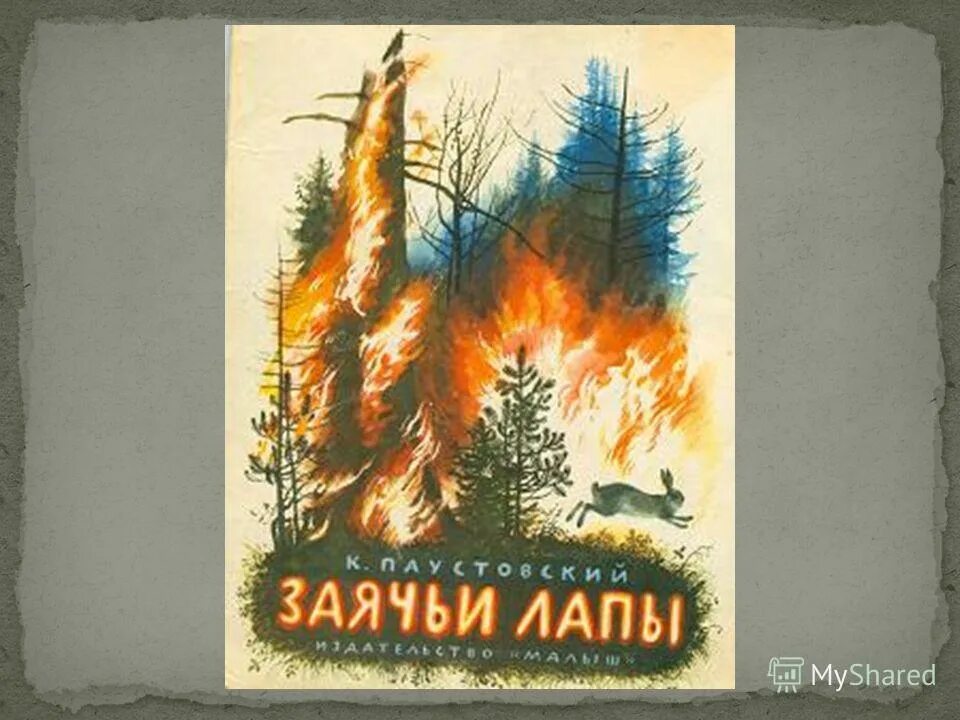 Паустовский заячьи лапы книга. Заячьи лапы о чем. Г. Заячьи лапы паустовский презентация. К.