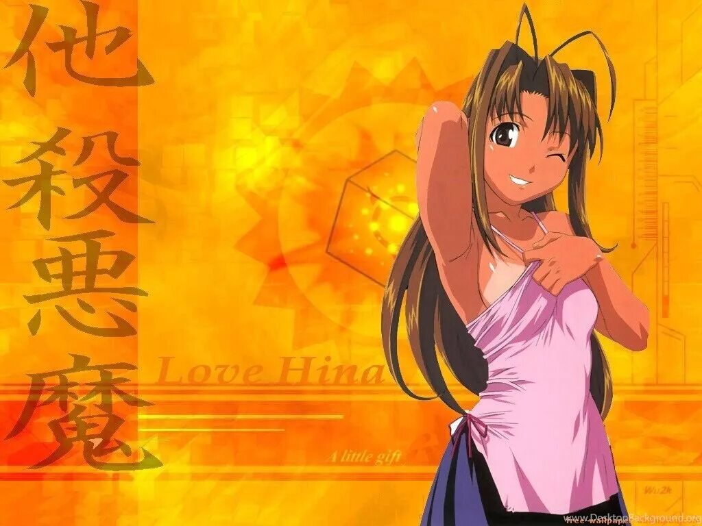 Love hina. Любовь и Хина. Японская анимация.