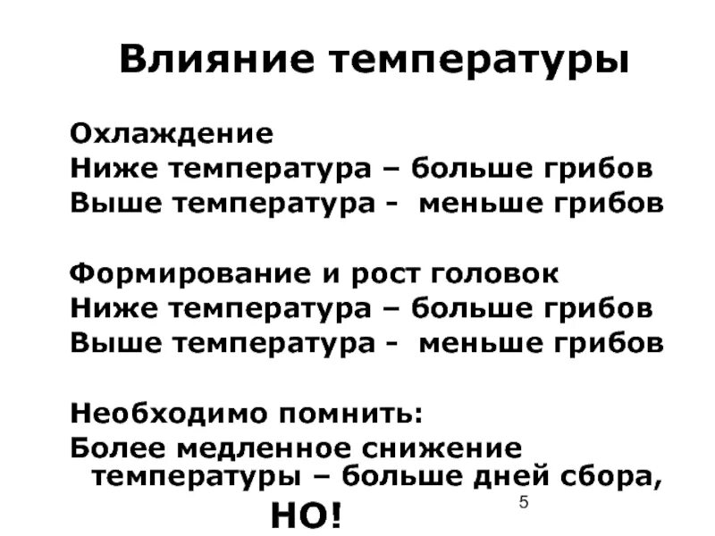 Условия развития грибов. Влияние температуры. Принцип воздействия грибов на человека. Излюбленные условия развития грибов.