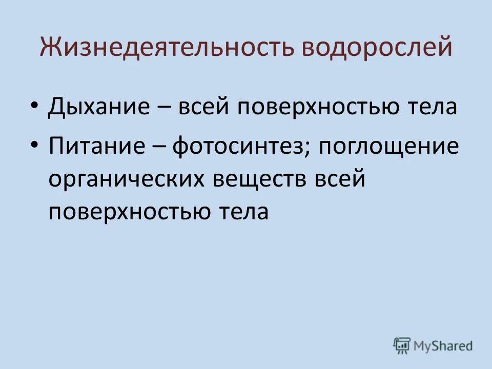 Жизнедеятельность водорослей. Процессы жизнедеятельности водорослей. Особенности жизнедеятельности водорослей. Особенности строения и жизнедеятельности водорослей.