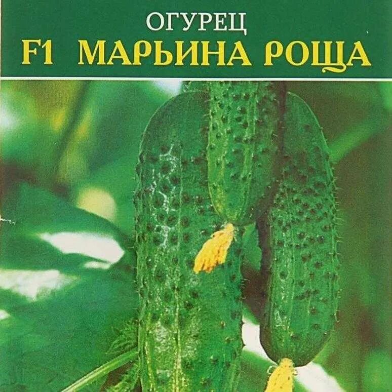 Огурец чечель f1. Семена огурец миллионер f1. Марьина роща огурцы. Огурец марьина роща f1. Огурец тещино счастье.