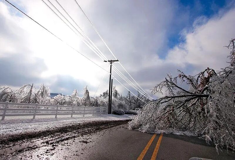ледяной дождь деревья. гололед на деревьях. гололед на деревьях. лед на ветках деревьев. ледяной дождь зимой.