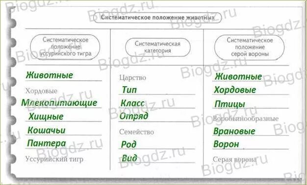 Классификация животных 8 класс биология таблица Таксоны растений и животных таблица с примерами