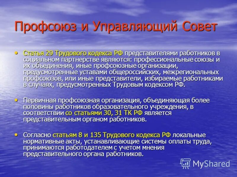Представители работников в социальном партнерстве. Иные представительные органы работников. Иные профсоюзы. Иные профсоюзы. Представители работников.