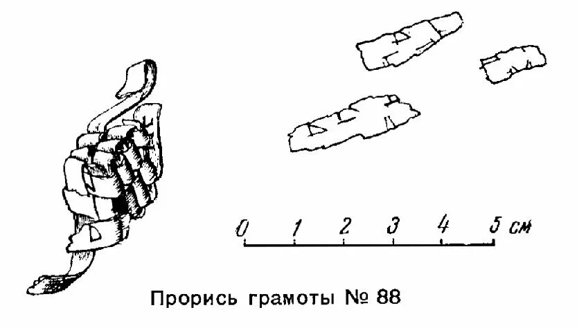 Я нашел удивительную берестяную трубочку. Берестяная трубочка. Пришвин берестяная трубочка. Берестяная трубочка рисунок. Нарисовать берестяную трубочку.