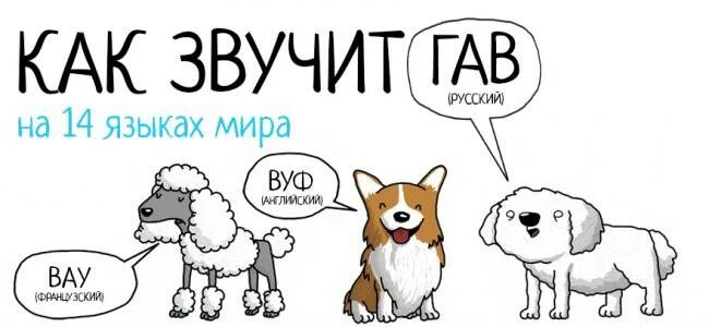 Переведи на русский dog day. Собака на разных языках. Гав на разных языках. Гав Гав на разных языках. Собаки звучит на разных языках.
