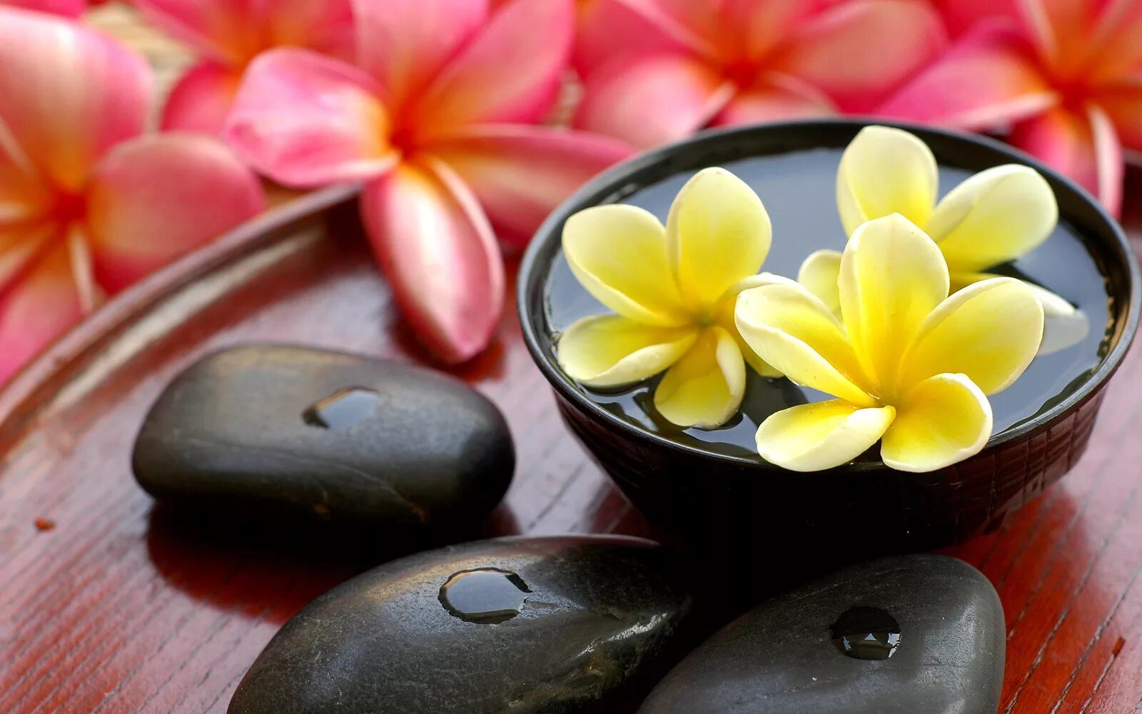 Спа массаж. Тайский массаж цветы. Тайское спа косметика. Цветы Тайланда спа.