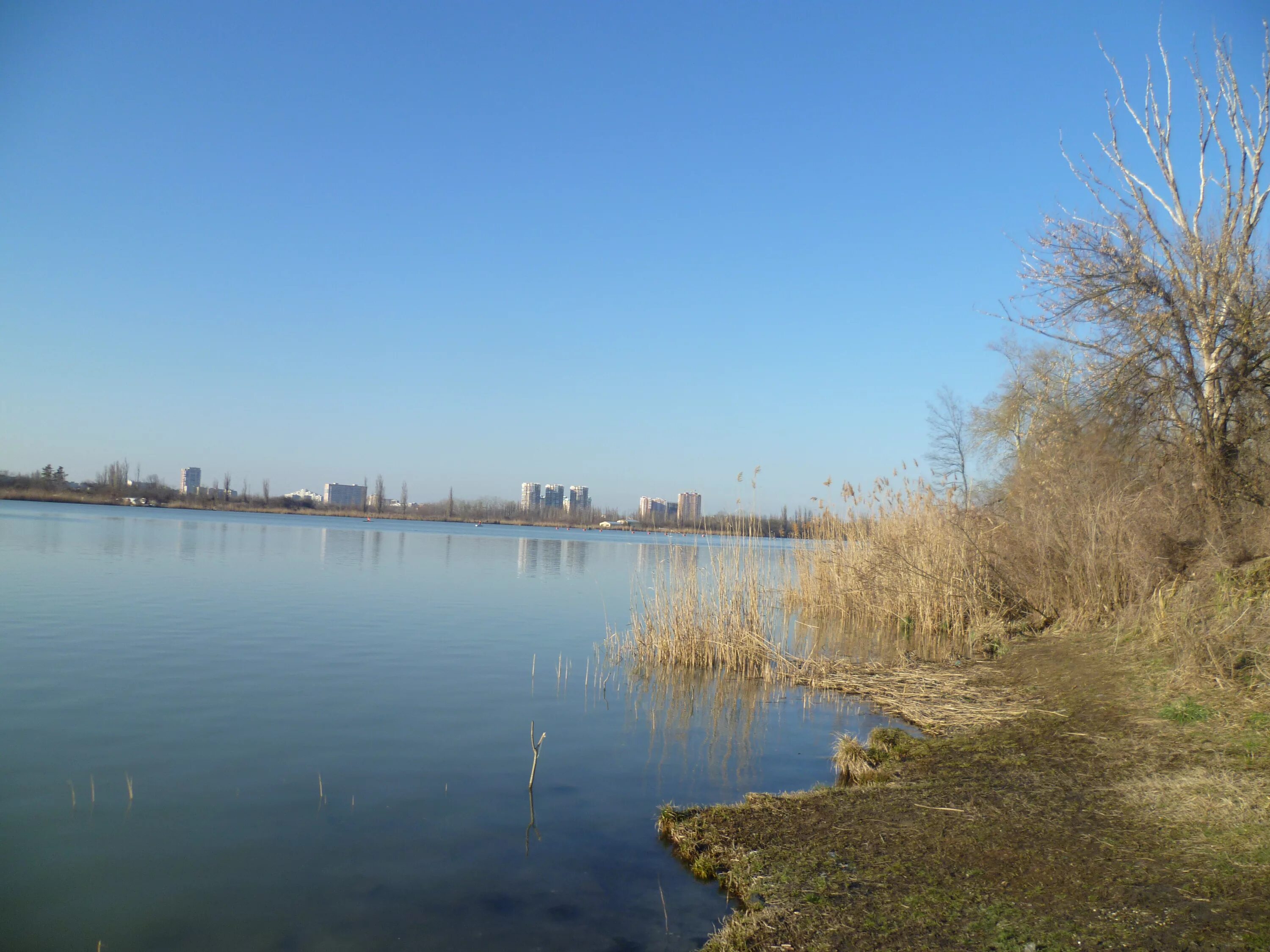 Берег кубани краснодар. Озеро Старая Кубань Краснодар. Озеро Кубань в Краснодаре. Набережная озеро Старая Кубань.