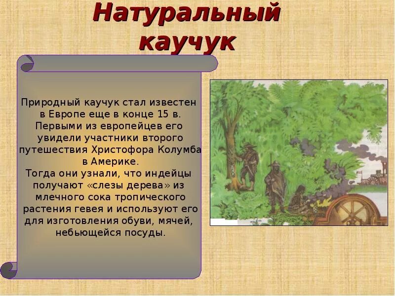 Как получают природный каучук. Натуральный каучук центр происхождения. Дерево. Натуральный каучук. Натуральный каучук центр происхождения.