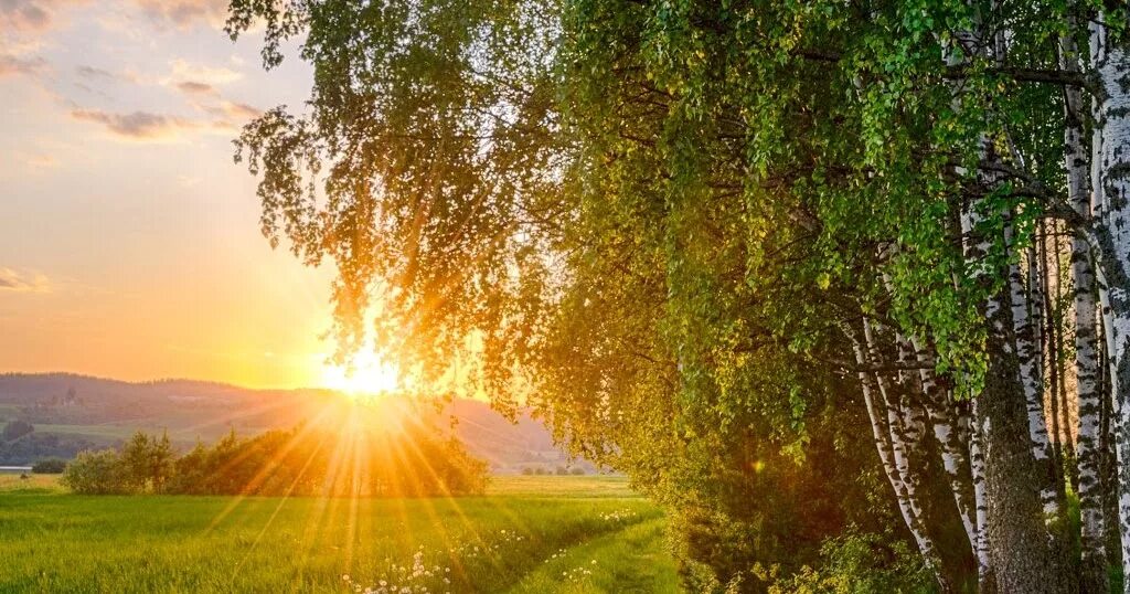 Круг светлых дней. Природа солнце. Красота русской природы. Летний пейзаж. Природа летом рассвет.