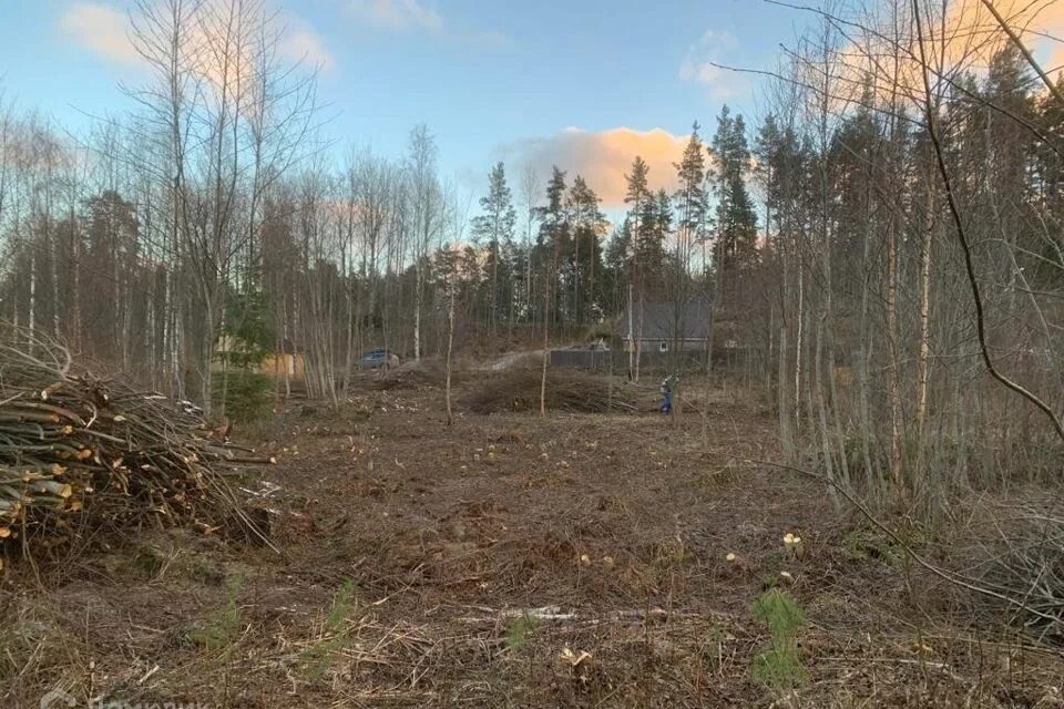 Снт нижний массив. Снт моторное. Карта снт сосновый нижний массив. Снт нижний массив. Карта снт сосновый нижний массив.