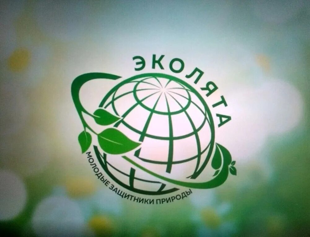Всероссийской урок эколят. Всероссийский урок эколята молодые защитники природы 2025. логотип эколята. всероссийский урок эколята. экологический урок.