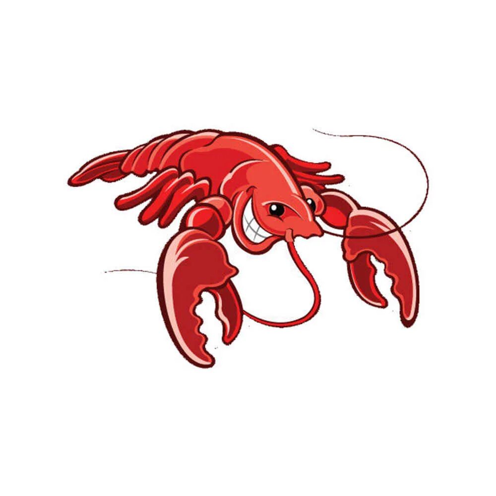 Ракал. Что значит ракал. Ракалы. Что значит ракал. Кальций в каплях гомеопатический ракал.