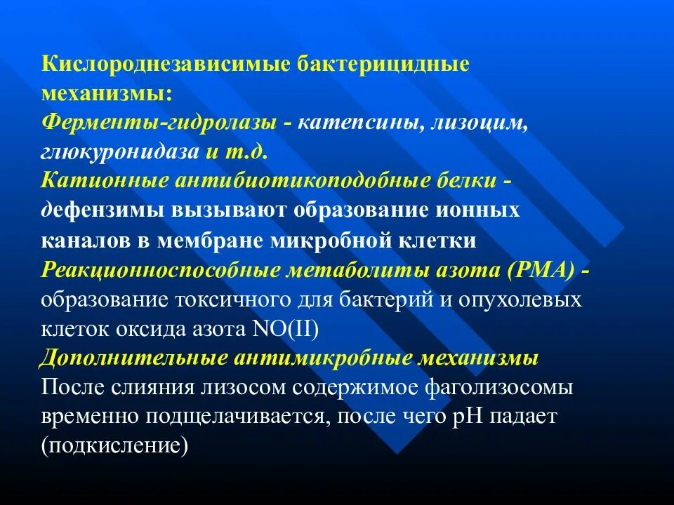 Бактерицидный механизм. Лизоцим фермент. Катионные белки в иммунологии. Антимикробные пептиды иммунология лизоцим дефензины кателициды.