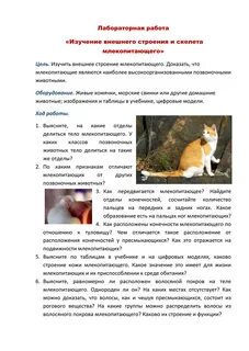Млекопитающие практическая работа