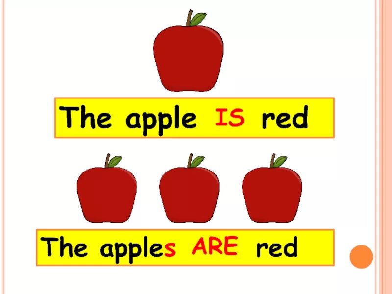 The Apple is Red. Apples is или are. This is an Apple the Apple is Red. Apple Riddles Color the Apples Red ответы. The apple am little