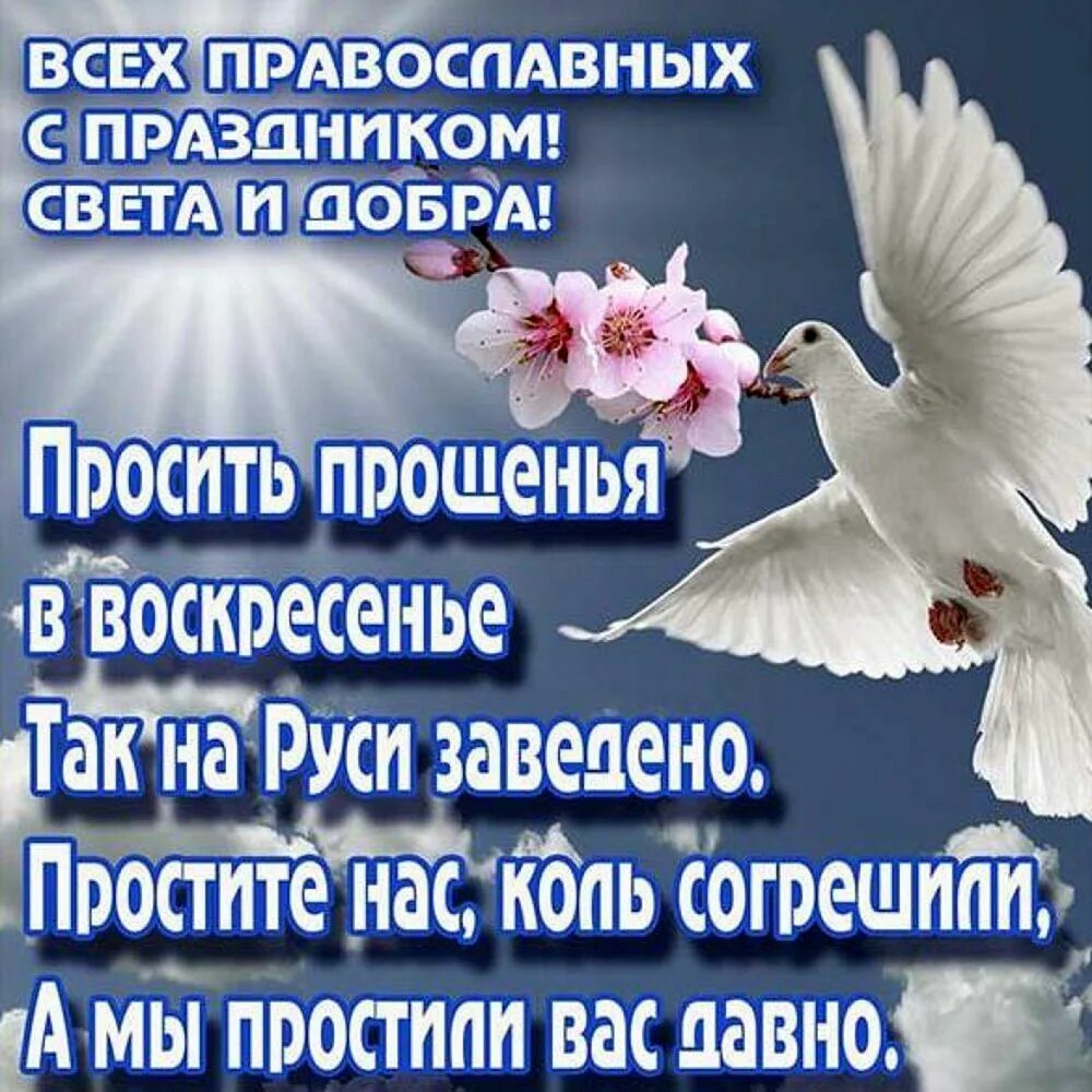 С прощенным воскресеньем. Открытки с прощённым воскресеньем. Прощеное воскресенье поздрааления. С прощенным воскресеньем поздравления. Стихи к прощеному воскресенью