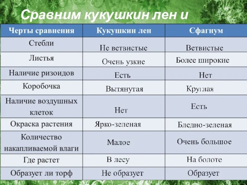 Сравним Кукушкин лен и сфагнум. Сравнение Кукушкина льна и сфагнума. Сфагнум и Кукушкин лен сравнение. Сравнение строения Кукушкина льна и сфагнума.