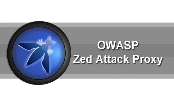 Owasp это. Owasp. owasp zed что это. sp ova. owasp logo.