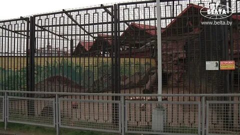 Минский зоопарк пожар