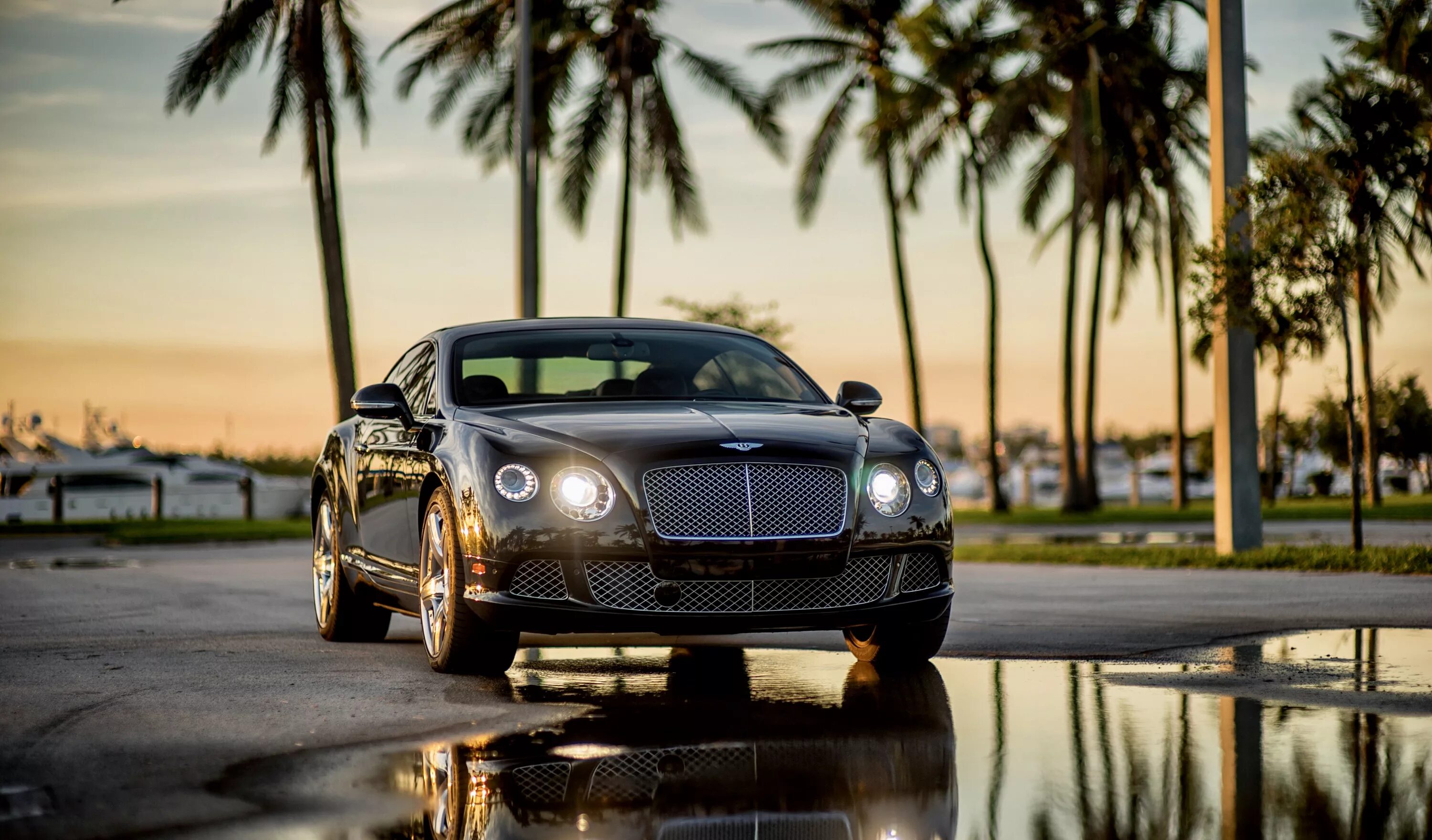 Miami car rental. Крутые тачки в майами. Rental cars cedar hill. Майами машины. Miami car rental.