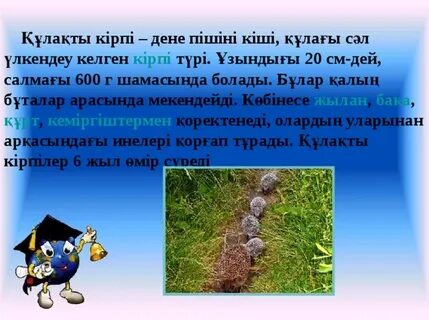 Түрме бастығы сотталғандармен жыныстық қатынасқа түскен