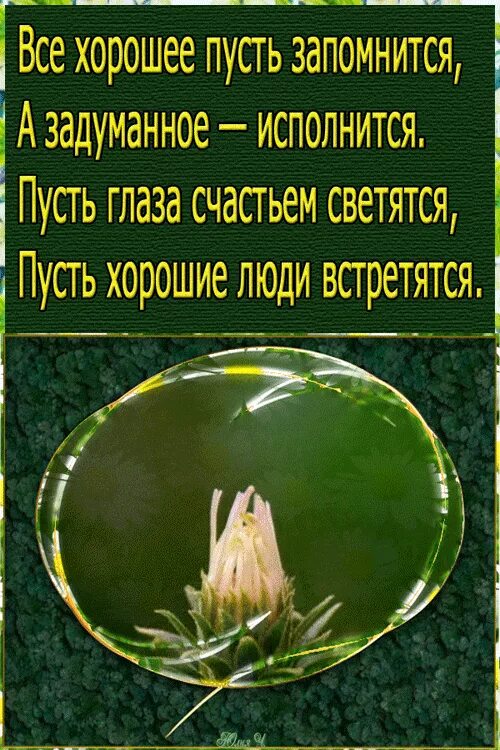 Пусть все задуманное получается. Пусть задуманное исполнится. пусть всё задуманное. пусть всё хорошее случается. пусть всё задуманное исполнится.