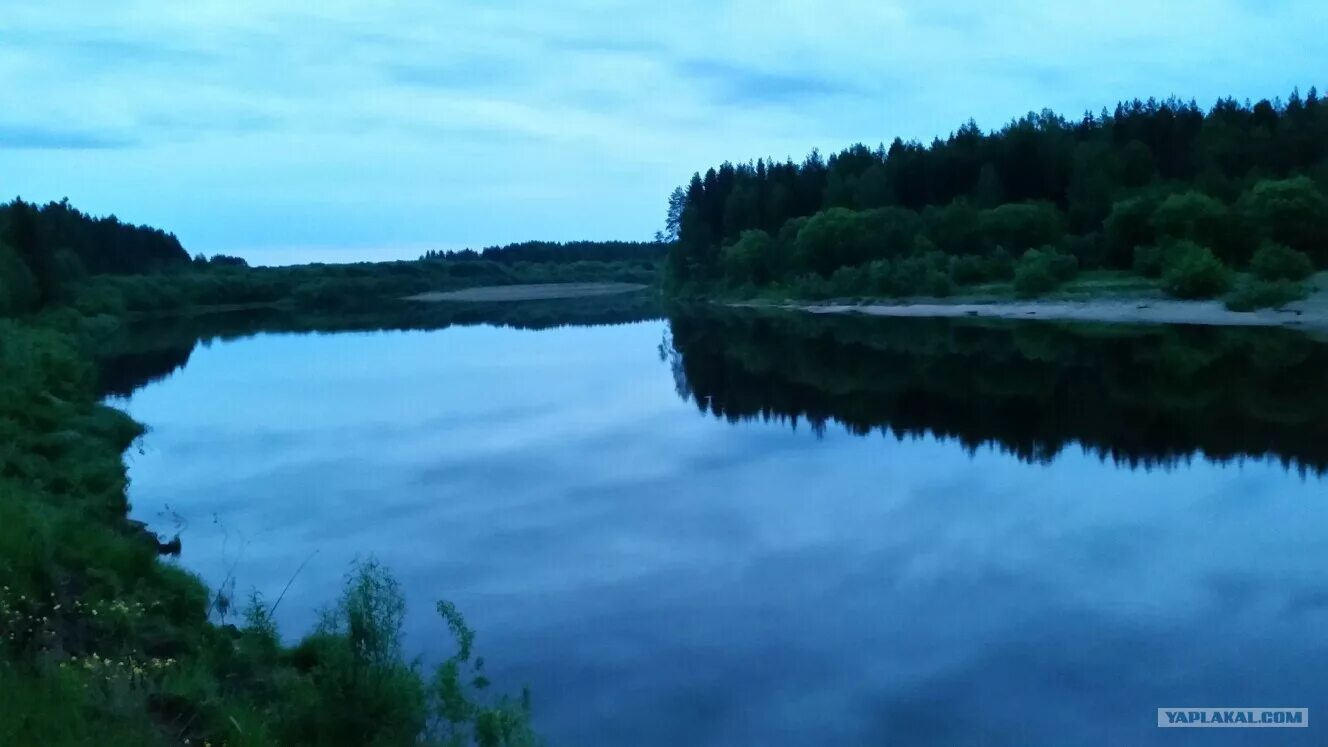 Мост через реку лузу. Река луза рыбалка. Речка луза. Вода лузу. Поселок дутово река печора.