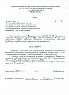 Распоряжение о создании государственной комиссии