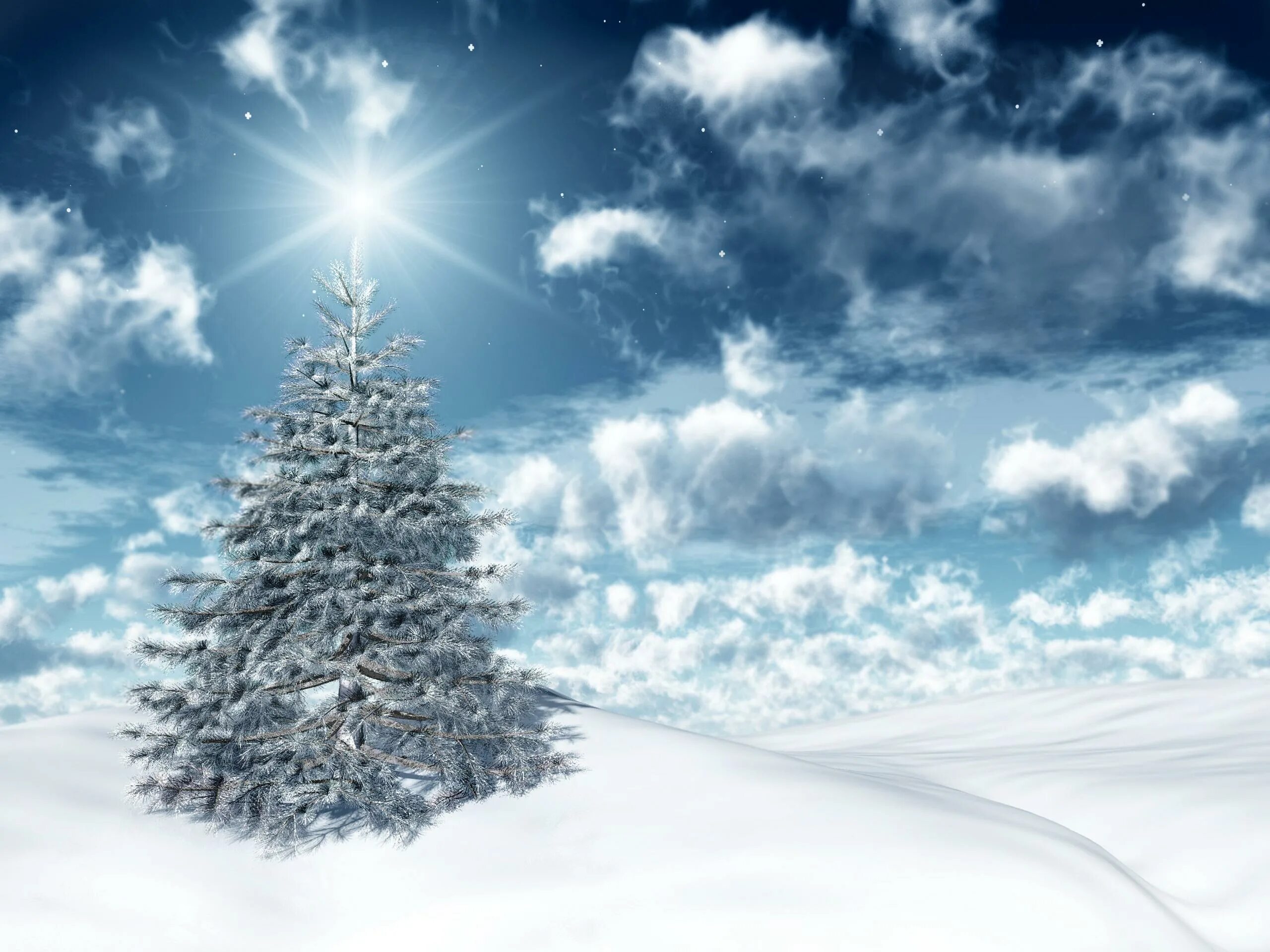 Зимний фон. Зимняя елка. Елка в снегу. Новогодняя природа. Елки сугробы