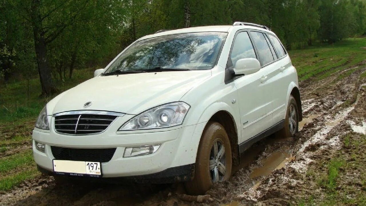 Кайрон 2.3 2013. SSANGYONG Kyron 2013. ССАНГЙОНГ Кайрон 2013. Санг енг Кайрон 2011. Саньенг Кайрон 2.