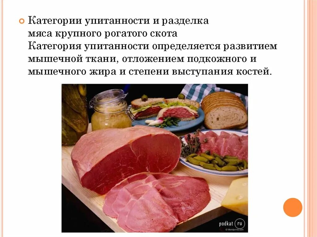 Проект по теме мясо. Проект на тему мясо. Проект приготовления шашлыка. Мясо для презентации. Мясо и мясные продукты презентация.