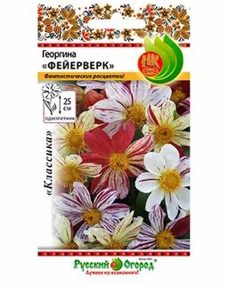 Семена фейерверки