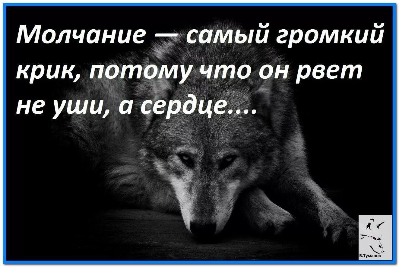 Волк одиночка цитаты. Лучше быть одной цитаты. Цитаты Волков. Мудрость волка цитаты. Типы молчания