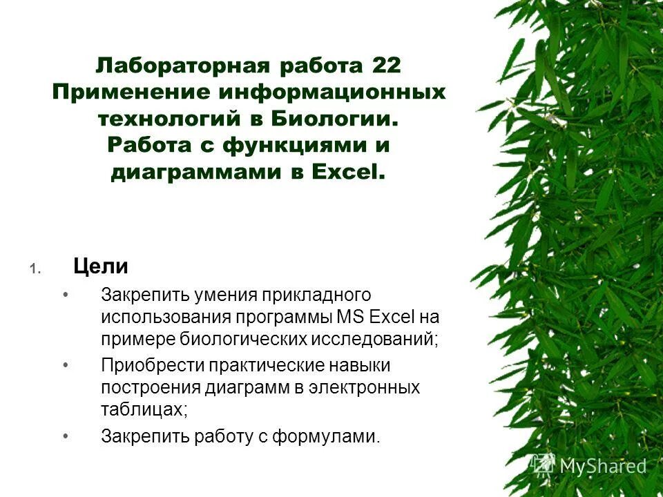 лаборатория работа внешнее строение и особенности передвижения рыбы. цель лабораторной работы по биологии. правила оформления лабораторной работы. лабораторная работа корень виды корневых. наблюдение за передвижением животных 5 лабораторная работа.