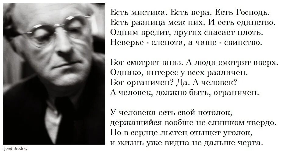 Иосиф Бродский всячески избегайте. Стихи Бродского. Иосиф Бродский стихи.