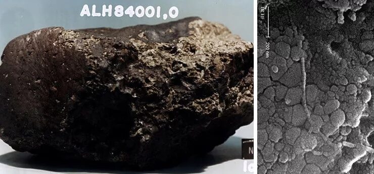 Метеорит изменил его. Метеорит изменил его