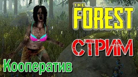 The forest с другом