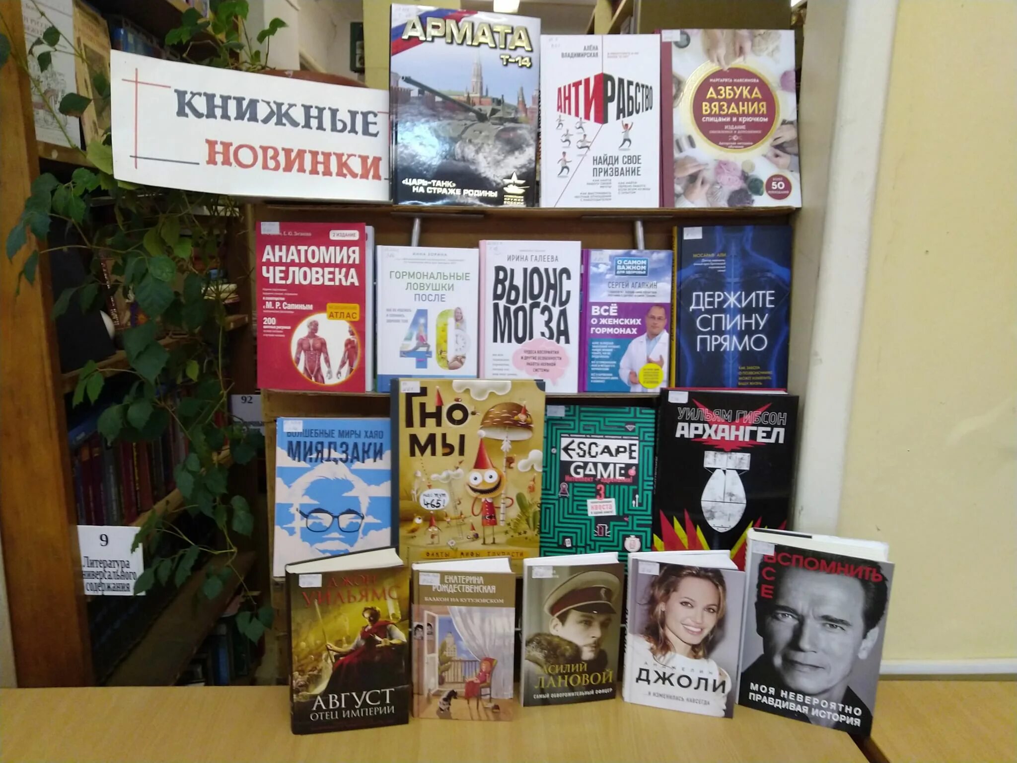 Книжная выставка новые книги. Новинки книг. Выставка новых книг в библиотеке. Новый книжный новинки. Современные книги.
