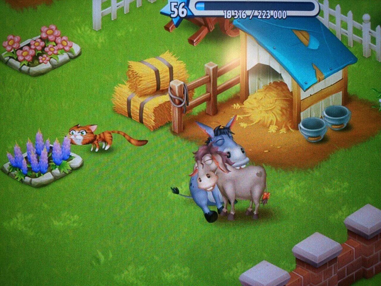 Farmington игра мод. Ферма Хей дей. Фармингтон игра ферма. Декор на ферме Хей дей. Красивые фермы в hay Day.
