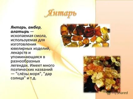 Янтарный предложение