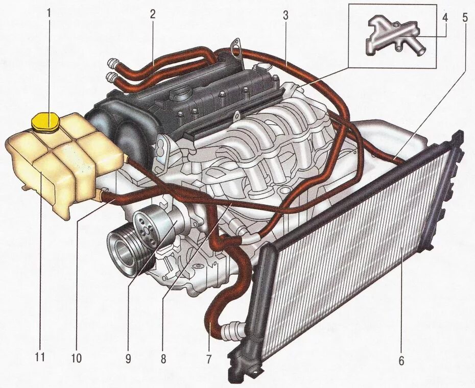 Сильный ож г. Форд Фьюжн система охлаждения двигателя. Система охлаждения двигателя Форд Фьюжн 1.4. Система охлаждения Форд Мондео 3 дизель 2.0. Форд Мондео 4 2.0 система охлаждения двигателя.