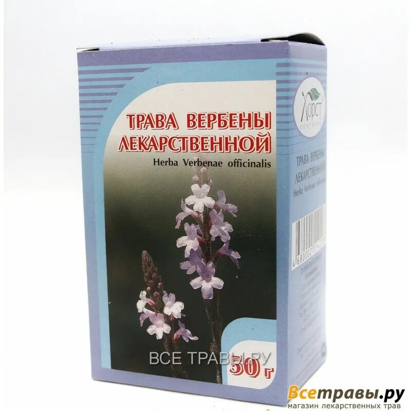 Вербена лекарственная Хорст. Вербена шерстистая. Растение Вербена лекарственная. Веточки вербены.