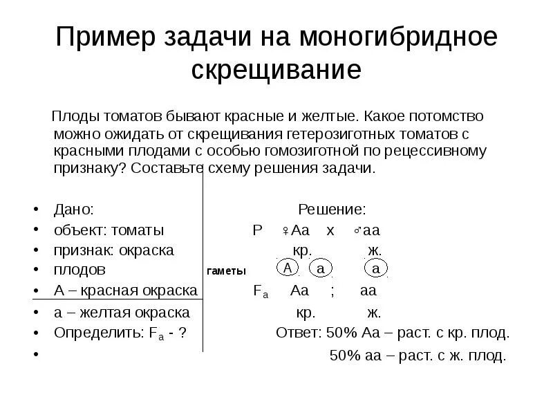 Каковы генотипы гомозиготных родительских форм при моногибридном. Задачи на моногибридное скрещивание. Генетические задачи по биологии 10 класс моногибридное скрещивание. Генетические задачи на моногибридное скрещивание 10 класс. Как решать задачи на моногибридное скрещивание 9 класс биология.