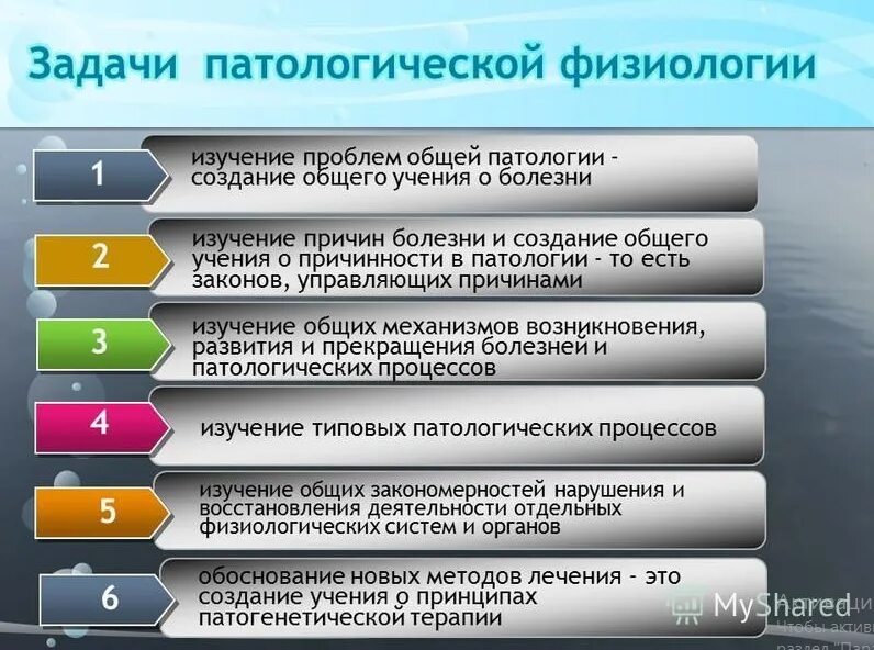 Задачи общей методики. Задачи патологической физиологии. Предмет и задачи патофизиологии. Предмет и методы патологической физиологии.. Задачи общей патологии.