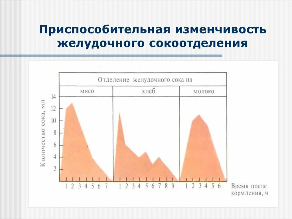 Приспособительный характер изменчивость. Приспособительная изменчивость желудочного сокоотделения. индивидуальная изменчивость желудка. анализ часовых кривых желудочного сокоотделения на хлеб мясо молоко.