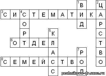 Высший класс сканворд